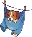 danceclothslinedog.gif