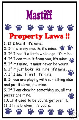 properties.jpg