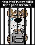 stoppuppymillsmall.gif